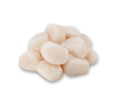 Cồi Sò điệp baby