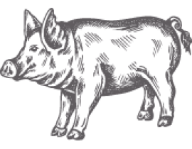 THỊT HEO NHẬP KHẨU